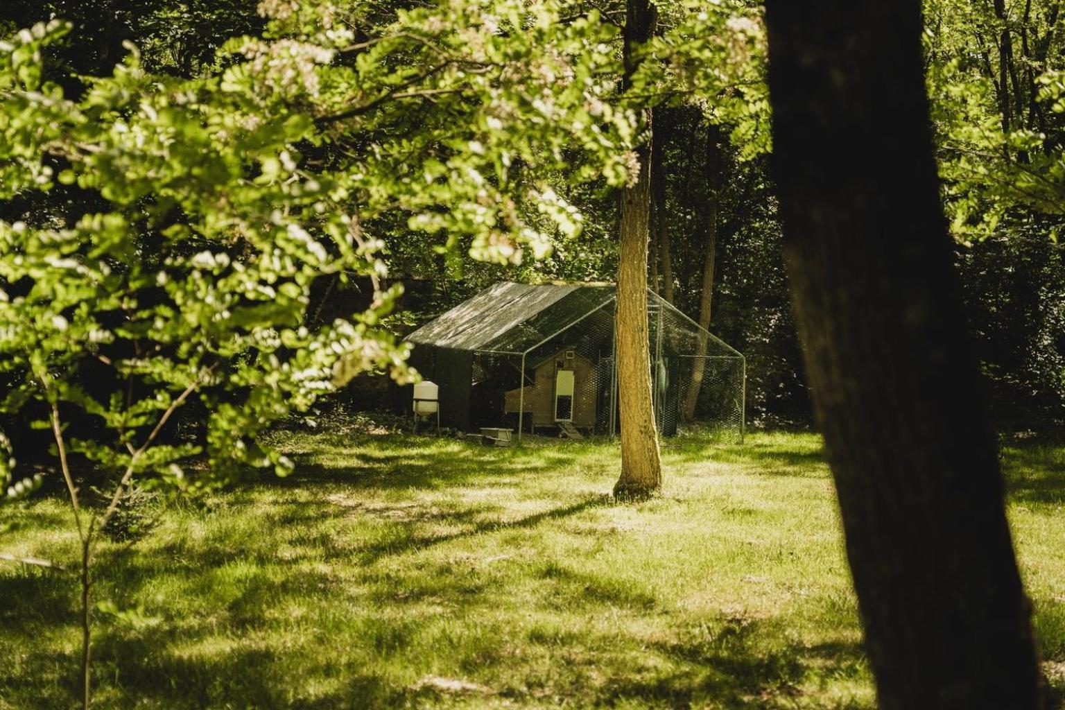 Domaine De Montizeau Bed & Breakfast Lailly-en-Val Dış mekan fotoğraf